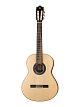 Классическая гитара Alhambra 8.895 Green Sustain Clasical - 1