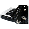 Цифровой аккордеон Roland FR-1X BK - 6