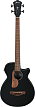 Бас-гитара Ibanez AEGB24E-BKH - 1