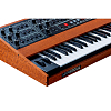 Аналоговый синтезатор Sequential Prophet 10 Special Edition - 3