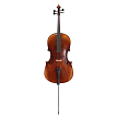 Виолончель GEWA Cello Maestro 24 4/4 - 1