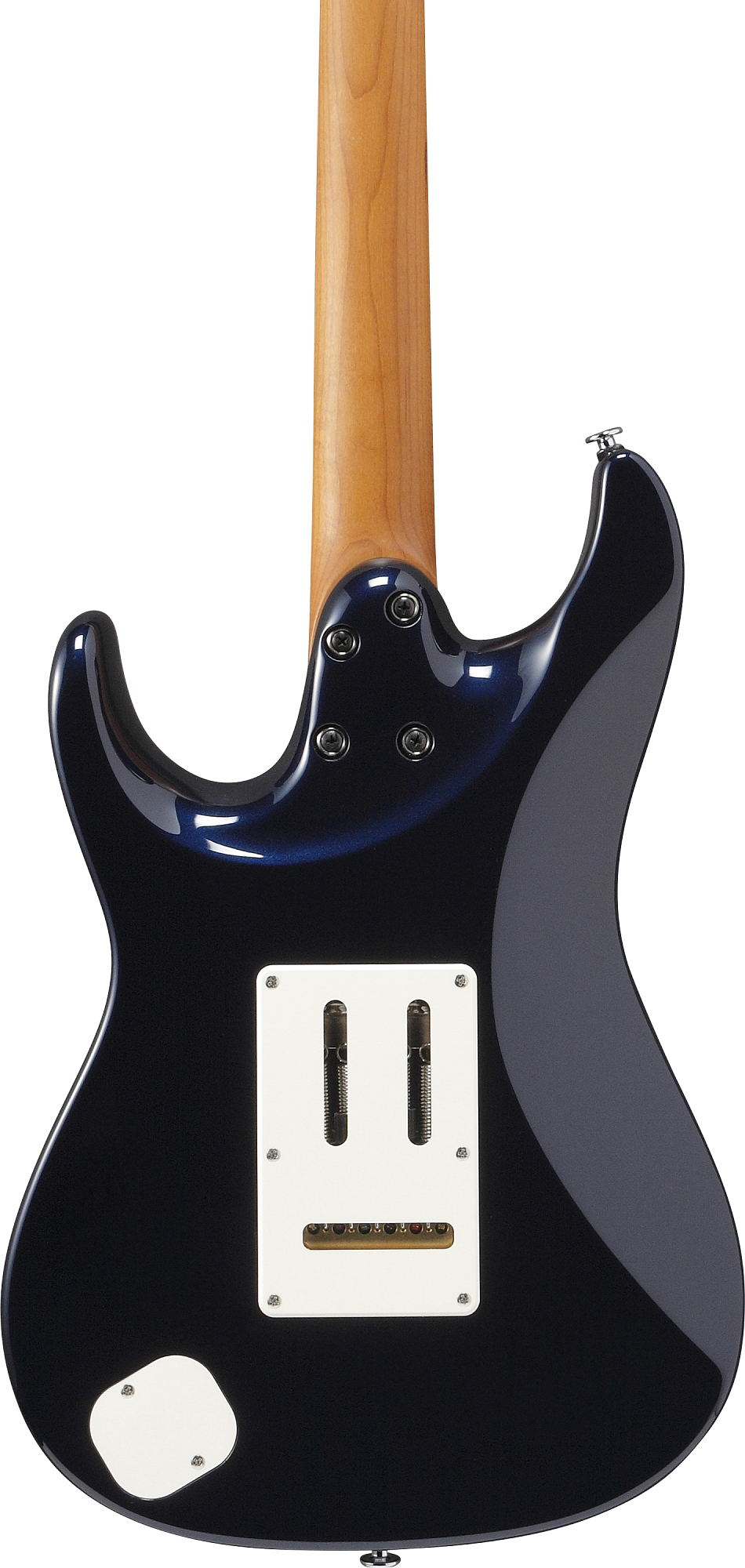 Электрогитара Ibanez AZ2204NW-DTB - 13