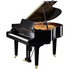 Дисклавир Yamaha DGCB ENST PE