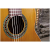 Классическая гитара Perez 610 Cedar - 7