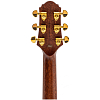 Электроакустическая гитара Crafter SRP G-36ce - 6