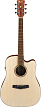 Акустическая гитара Ibanez PF10CE OPN, Натуральный открытые поры - 1