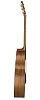 Акустическая гитара Baton Rouge AR31S/JC-AM - 2