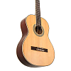 Классическая гитара Peavey CNS 2 - 3