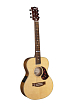 Электроакустическая гитара Maton EMTE - 1