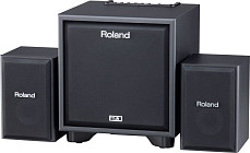 Мониторная система 2.1 Roland Cube-Monitor-110