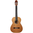 Классическая гитара Natasha N1C 650 Natural - 1