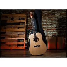 Акустическая гитара Peavey DW-1