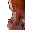 Виолончель в комплекте GEWA Allegro Cello Set 4/4 - 7