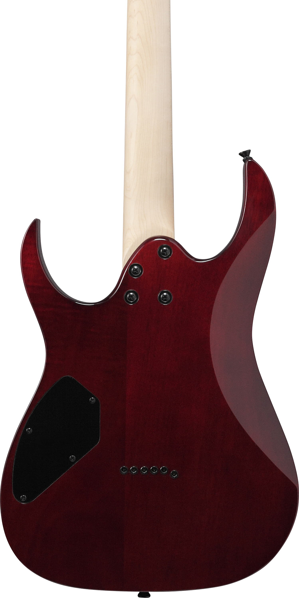 Электрогитара Ibanez GRGR221PA-AQB - 15