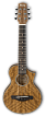 Акустическая гитара Ibanez EWP14WB-OPN - 1