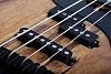 Бас-гитара Schecter MODEL-T 4 EXOTIC BLACK LIMBA Blue - 2