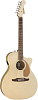 Акустическая гитара Fender Newporter Player Champagne, Шампань - 2