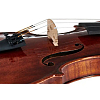 Скрипка GEWA Violin Maestro 26 Guarneri 4/4 - 5