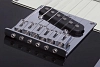 Электрогитара Schecter NICK JOHNSTON PT A.INK - 2