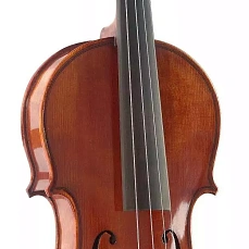 Скрипка Stagg VN-4/4 HG