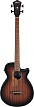 Бас-гитара Ibanez AEGB24E-MHS, Коричневый санбёрст - 1