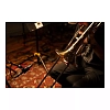 Пара микрофонов Antelope Audio Edge Note Bundle - 6