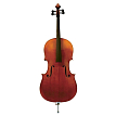 Виолончель GEWA Cello Maestro 6 - 1
