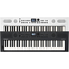 Цифровое пианино Roland GO:KEYS 5 GT - 7
