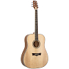 Акустическая гитара Peavey DW 2 - 5