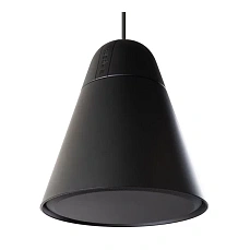 Подвесной громкоговоритель Biamp (Apart Audio) P60DT-BL