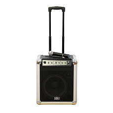 Акустический комплект Soundking PA10W