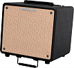 Комбоусилитель Ibanez T80II TROUBADOUR ACOUSTIC COMBO, Черный - 1