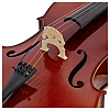 Виолончель в комплекте GEWA Cello Ideale-VC2 3/4 - 5