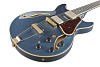 Электрогитара Ibanez AMH90-PBM - 5