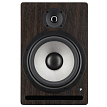 Студийный монитор Prodipe PRO8V4RW - 1