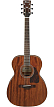 Акустическая гитара Ibanez Ac340-Opn - 1