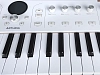 Сценическая клавиатура Arturia AstroLab 37 White - 11