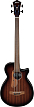 Бас-гитара Ibanez AEGB24FE-MHS, Коричневый санбёрст - 1