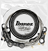 Струны Ibanez IEGS62 - 4