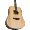 Акустическая гитара Peavey DW 2 - 6