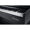 Цифровое пианино GEWA DIGITAL-PIANO DP300 BLACK - 6