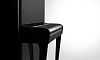 Акустическое пианино Yamaha Radius 121EX PE - 2