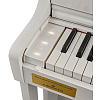 Цифровое пианино Casio Celviano AP-750WE - 9